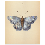 15b32675-f55e-4ce9-bd09-81fbf28ea97a